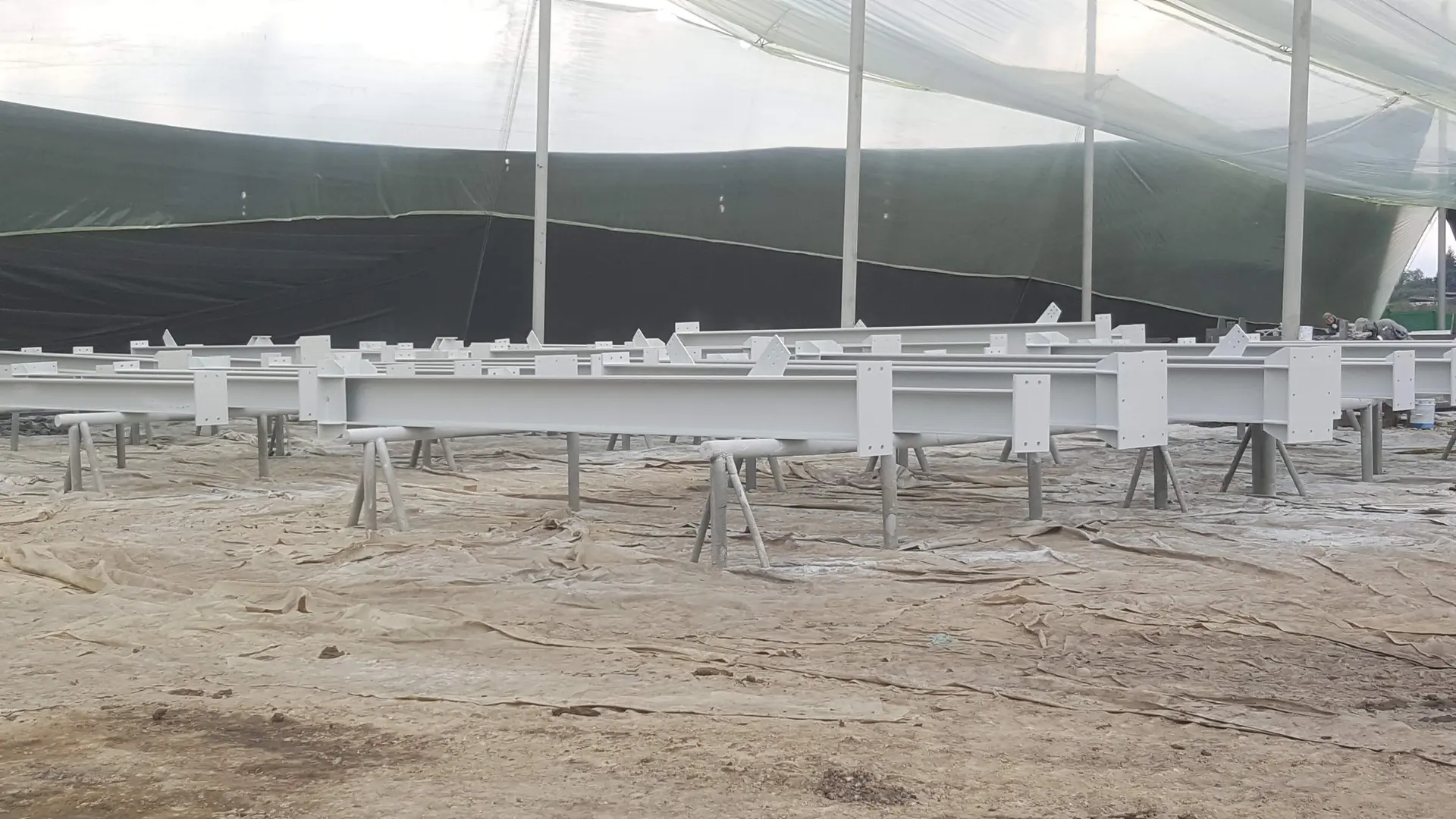 PTG-GLoBaX Proyecto