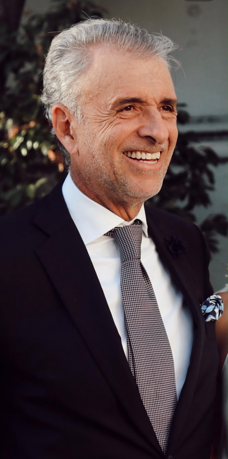Harold Böhmer — Aliado Estratégico